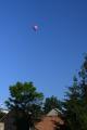 DSC_1365_c80e2a15-4caf-4717-99d0-2e3acc23a3cd.JPG